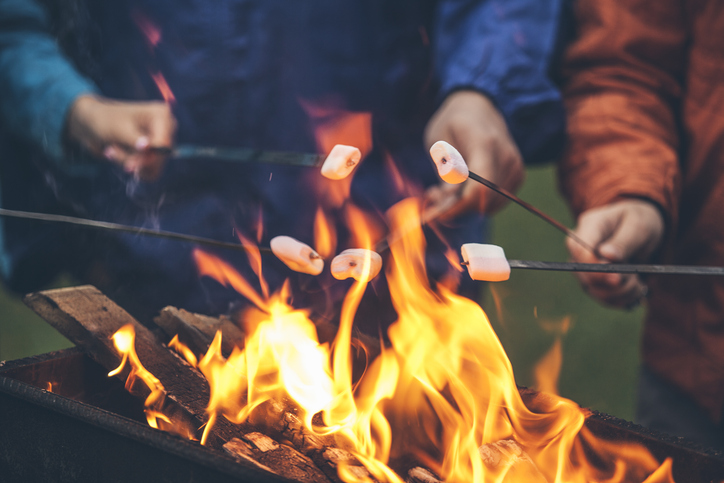 Grillplätze in der Vorderpfalz